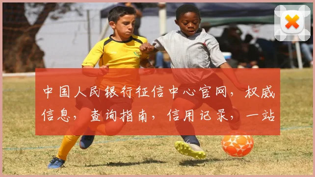 中国人民银行征信中心官网，权威信息，查询指南，信用记录，一站式服务，三步轻松获取