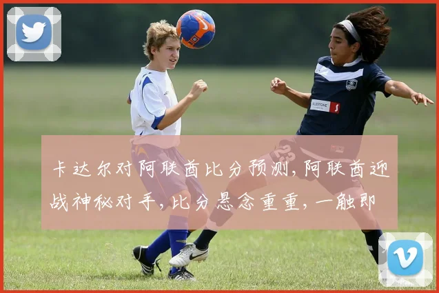 卡达尔对阿联酋比分预测,阿联酋迎战神秘对手,比分悬念重重,一触即发