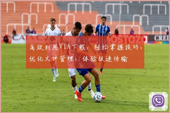 高效利用VIA下载，轻松掌握技巧，优化文件管理，体验极速传输